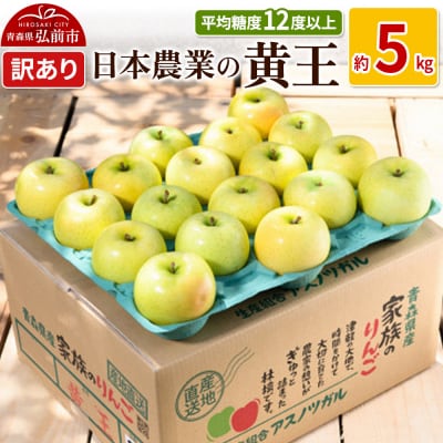 りんご  黄王 約5kg 訳あり|24_nng-030501a