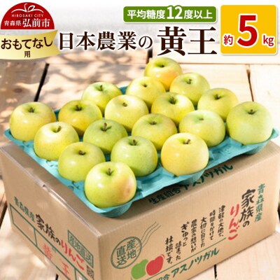 りんご  黄王 約5kg おもてなし用|24_nng-030501b
