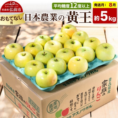 【26年8月クール便発送】りんご 黄王 約5kg【おもてなし用】|24_nng-030501bc