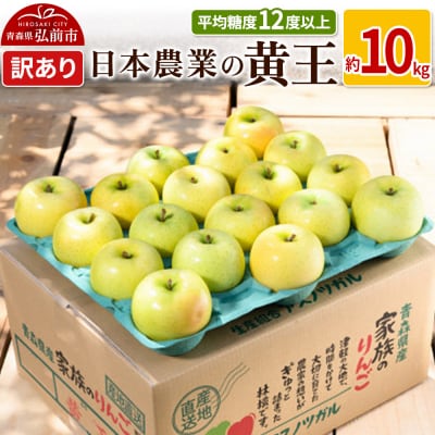 りんご  黄王 約10kg 訳あり|24_nng-031001a