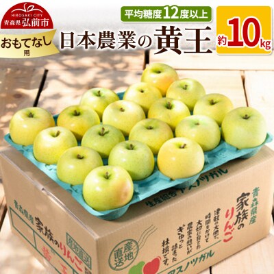 りんご  黄王 約10kg おもてなし用|24_nng-031001b