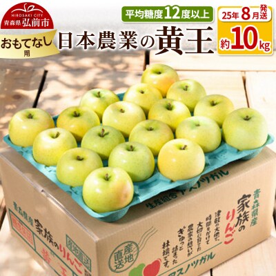 りんご 【8月出荷】 黄王 約10kg おもてなし用|24_nng-031001bc