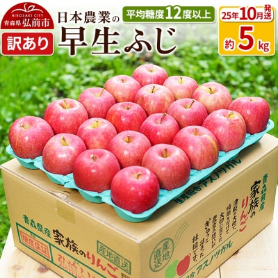 りんご 【10月出荷】 早生ふじ 約5kg 訳あり|24_nng-040501ae