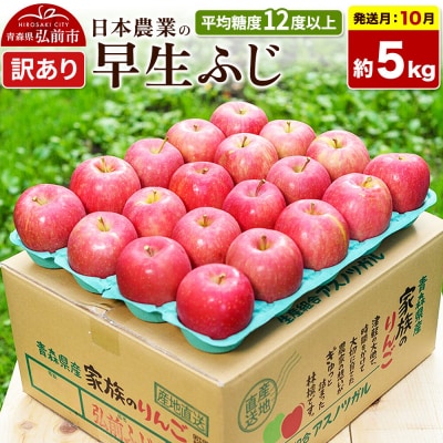 【26年10月発送】りんご 早生ふじ【訳あり】約5kg|24_nng-040501ae