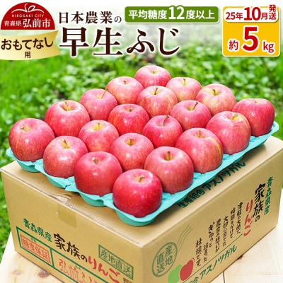 りんご 【10月出荷】 早生ふじ 約5kg おもてなし用|24_nng-040501be