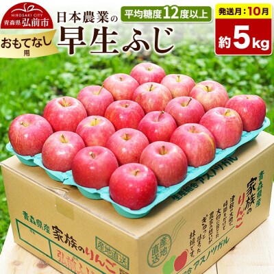 【26年10月発送】りんご 早生ふじ【おもてなし用】約5kg|24_nng-040501be