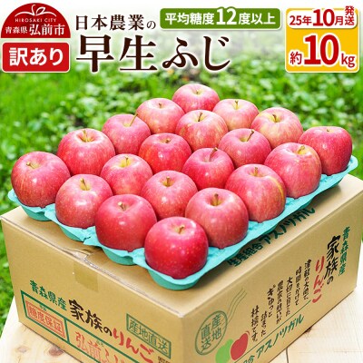 りんご 【10月出荷】 早生ふじ 約10kg 訳あり|24_nng-041001ae