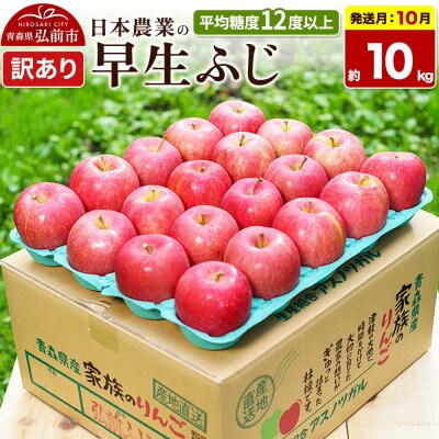 【26年10月発送】りんご 早生ふじ【訳あり】約10kg|24_nng-041001ae