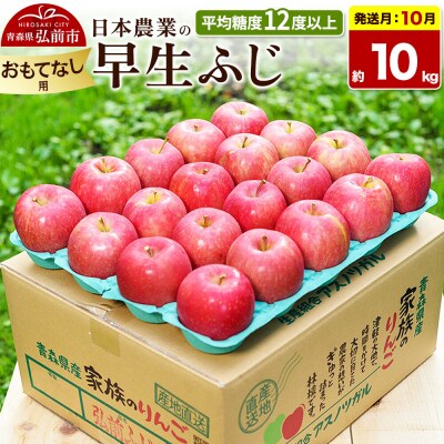 【26年10月発送】りんご 早生ふじ【おもてなし用】約10kg|24_nng-041001be