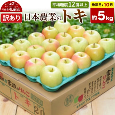 【26年10月発送】りんご トキ【訳あり】約5kg|24_nng-060501ae