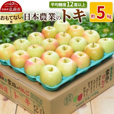 りんご  トキ 約5kg おもてなし用|24_nng-060501b