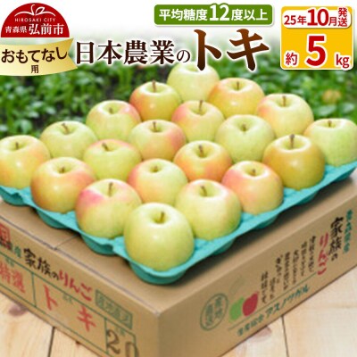りんご 【25年10月出荷】 トキ 約5kg おもてなし用|24_nng-060501be