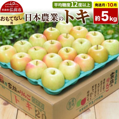 【26年10月発送】りんご トキ【おもてなし用】約5kg|24_nng-060501be