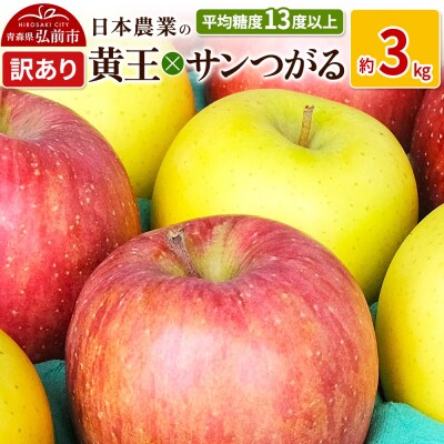 りんご  黄王×サンつがる 約3kg 訳あり|24_nng-500301a