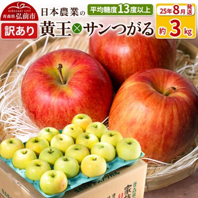 りんご 【25年8月出荷】 黄王×サンつがる 約3kg 訳あり|24_nng-500301ac
