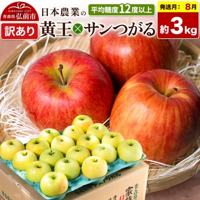 【26年8月クール便発送】りんご 黄王×サンつがる 約3kg 訳あり|24_nng-500301ac