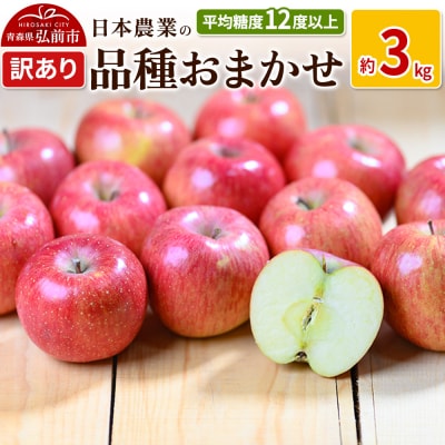 りんご  品種おまかせ 約3kg 訳あり|24_nng-990301a