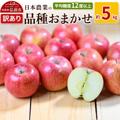 りんご 平均糖度12度以上! 品種おまかせ 約5kg 訳あり|24_nng-990501a