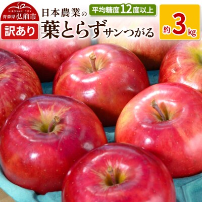 りんご  葉とらずサンつがる 約3kg 訳あり|24_nng-020301a