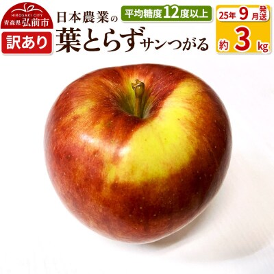 りんご 【9月出荷】 葉とらずサンつがる 約3kg 訳あり|24_nng-020301ad