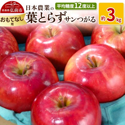 りんご  葉とらずサンつがる 約3kg おもてなし用|24_nng-020301b