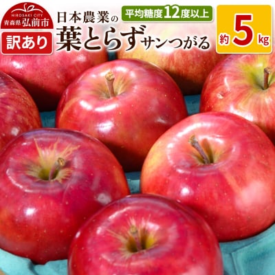 りんご  葉とらずサンつがる 約5kg 訳あり|24_nng-020501a