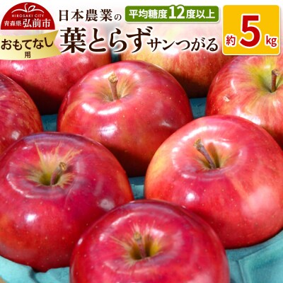 りんご  葉とらずサンつがる 約5kg おもてなし用|24_nng-020501b