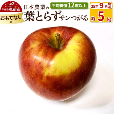 りんご 【9月出荷】 葉とらずサンつがる 約5kg おもてなし用|24_nng-020501bd