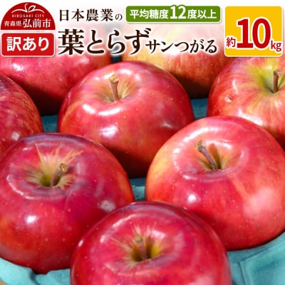 りんご  葉とらずサンつがる 約10kg 訳あり|24_nng-021001a