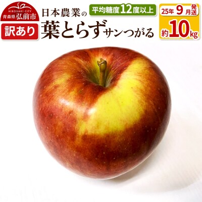 りんご 【9月出荷】 葉とらずサンつがる 約10kg 訳あり|24_nng-021001ad