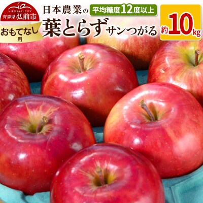 りんご  葉とらずサンつがる 約10kg おもてなし用|24_nng-021001b