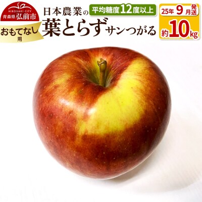 りんご 【9月出荷】 葉とらずサンつがる 約10kg おもてなし用|24_nng-021001bd