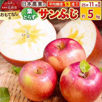 りんご【25年11月出荷】 葉とらずサンふじ 約5kg おもてなし用|24_nng-130501bf