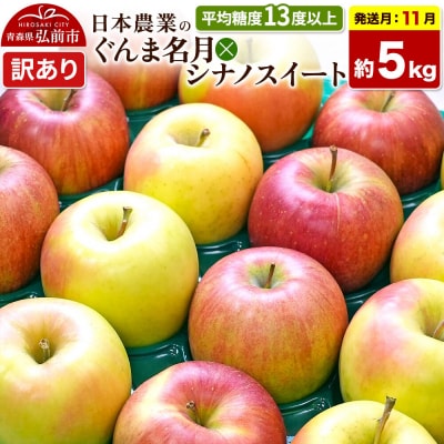りんご ぐんま名月×シナノスイート【訳あり】約5kg|24_nng-510501af
