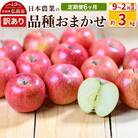 【定期便6ヶ月】 訳あり品種おまかせ 約3kg 【9月～2月】|24_nng-990306ad