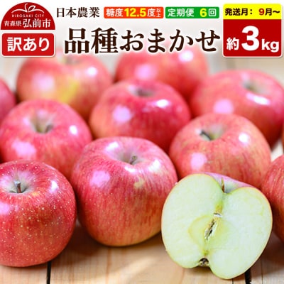 《定期便6ヶ月》りんご 品種おまかせ 約3kg【訳あり】9月～2月|24_nng-990306ad