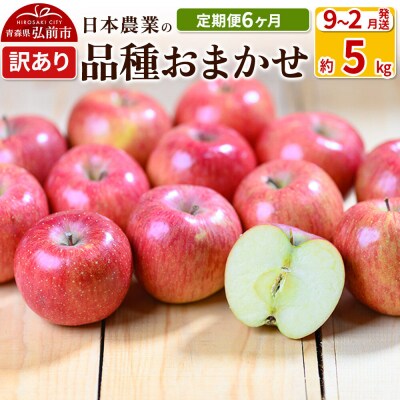 りんご 【定期便6ヶ月】 訳あり品種おまかせ5kg 【9月～2月】|24_nng-990506ad