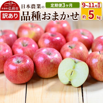 りんご 【定期便3ヶ月】 訳あり品種おまかせ5kg 【9～11月】|24_nng-990503ad