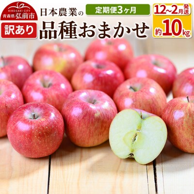 りんご 【定期便3ヶ月】 訳あり品種おまかせ 約10kg 12～2月|24_nng-991003ag