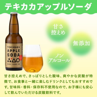 テキカカアップルソーダ 330ml×24本 もりやま園|24_mye-102401