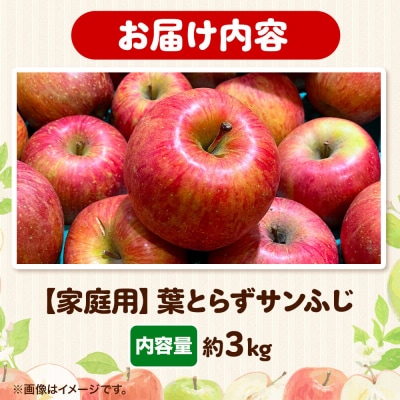 りんご 高谷農園【家庭用】葉とらずサンふじ 約3kg|24_tyn-030301