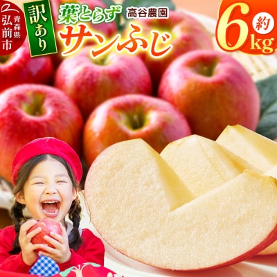 りんご 高谷農園【訳あり】葉とらずサンふじ 約6kg|24_tyn-040601