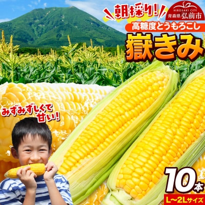 とうもろこし 朝採り 嶽きみ(だけきみ)10本|24_tns-101001