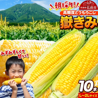 とうもろこし 朝採り 嶽きみ(だけきみ)10本|24_tns-101001
