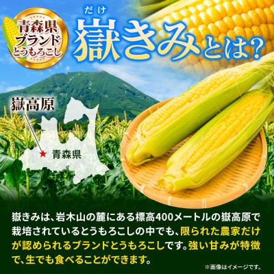 とうもろこし 朝採り 嶽きみ(だけきみ)10本|24_tns-101001
