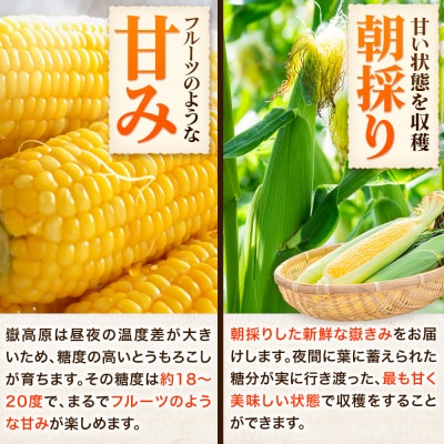とうもろこし 朝採り 嶽きみ(だけきみ)10本|24_tns-101001