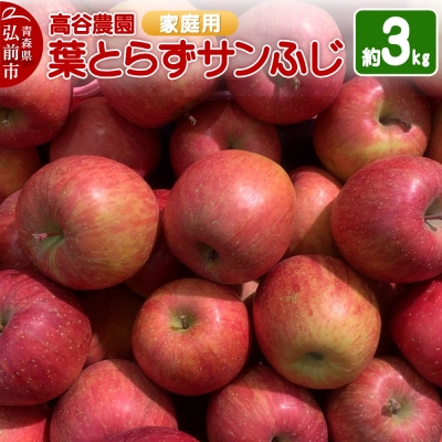 りんご 高谷農園【家庭用】葉とらずサンふじ 約3kg|24_tyn-030301