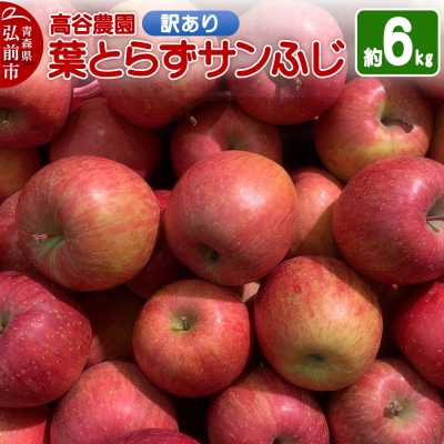 りんご 高谷農園【訳あり】葉とらずサンふじ 約6kg|24_tyn-040601