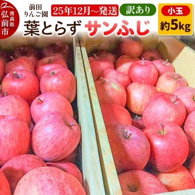 【25年12月発送】りんご【訳あり】葉とらず サンふじ 約5kg 小玉|24_mre-070501