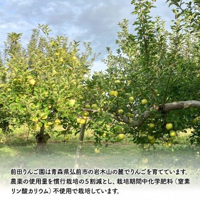 【25年10月発送】りんご【家庭用】トキ 約5kg  前田りんご園|24_mre-080501
